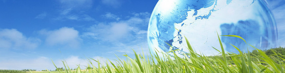 como cancelar aposta na premier bet