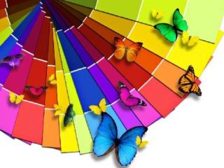 can you do sports betting on draftkings