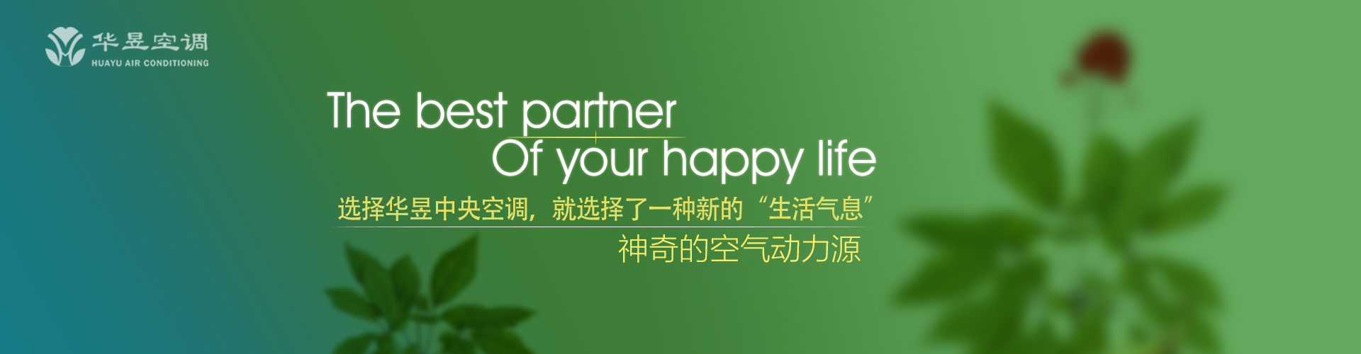 como apostar em yankee na bet fair