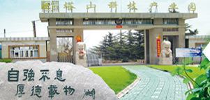 are sports betting apps legal