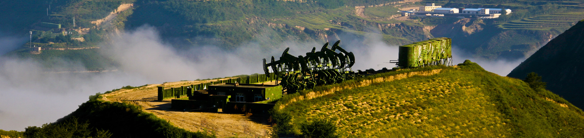 como conferir aposta no bet